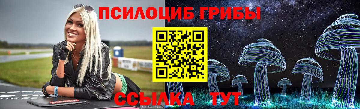 Галлюциногенные грибы ЛСД  Вход с VPN  Черногорск 